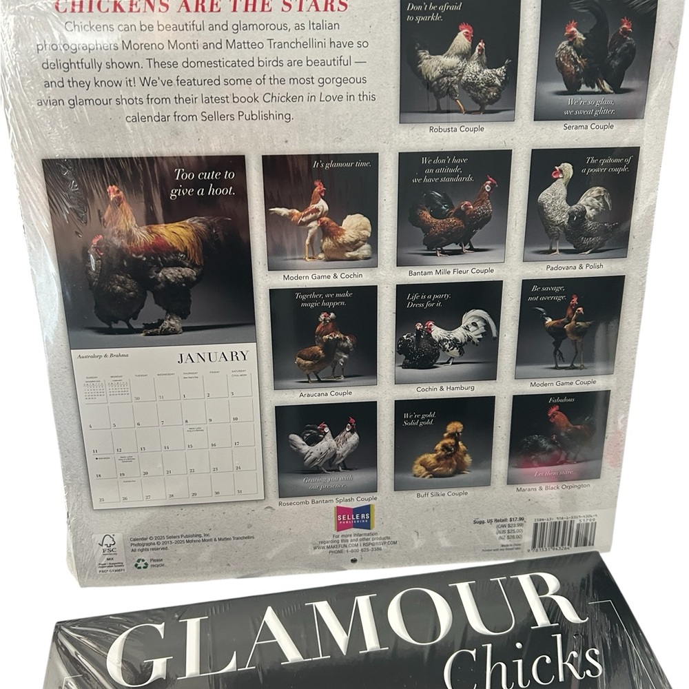 Glamour Chicks 2026 16-Month Wall Art Calendar - Picture 2 of 2